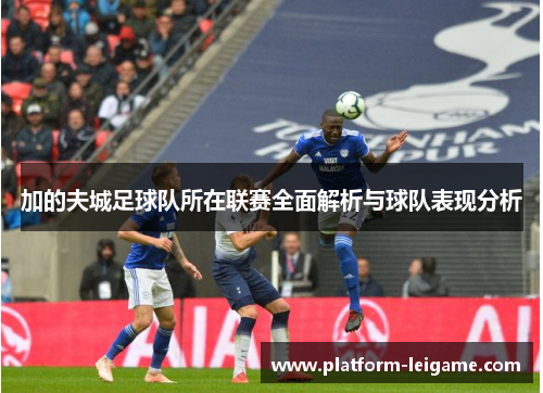 加的夫城足球队所在联赛全面解析与球队表现分析