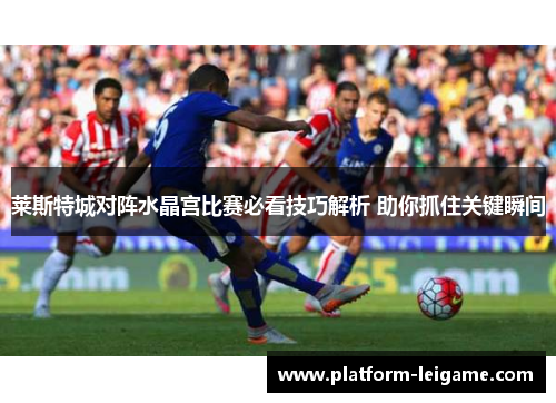 莱斯特城对阵水晶宫比赛必看技巧解析 助你抓住关键瞬间