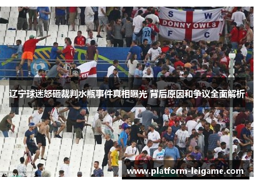 辽宁球迷怒砸裁判水瓶事件真相曝光 背后原因和争议全面解析 辽宁球迷怒砸裁判水瓶事件真相曝光 背后原因和争议全面解析